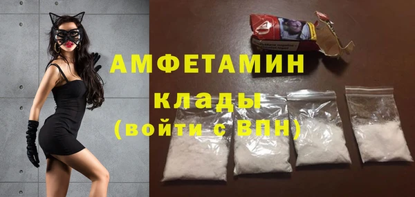 соль ск Инсар