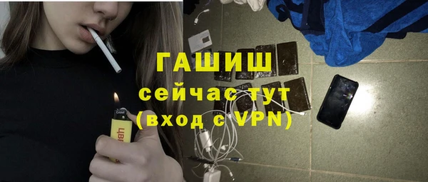 соль ск Инсар