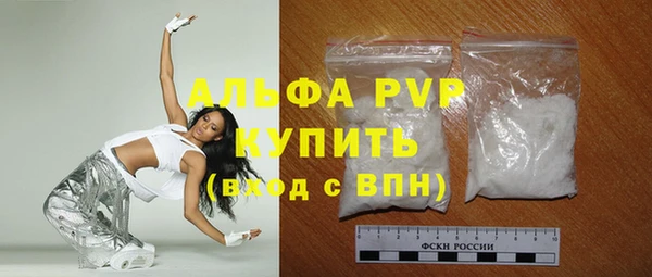 соль ск Инсар