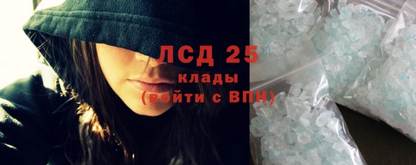 соль ск Инсар
