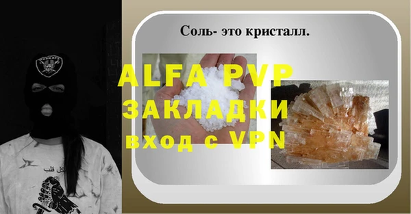 соль ск Инсар