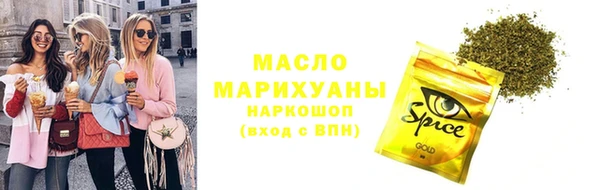 соль ск Инсар