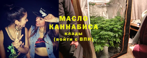 соль ск Инсар