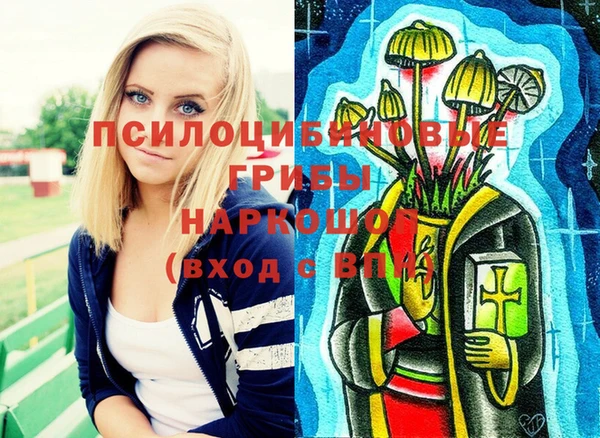 соль ск Инсар