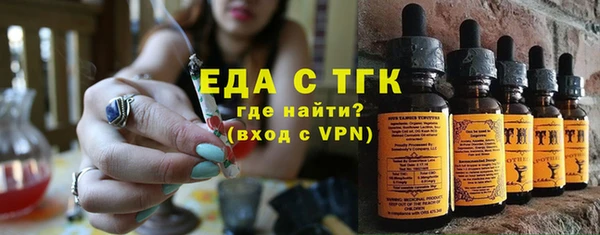 соль ск Инсар
