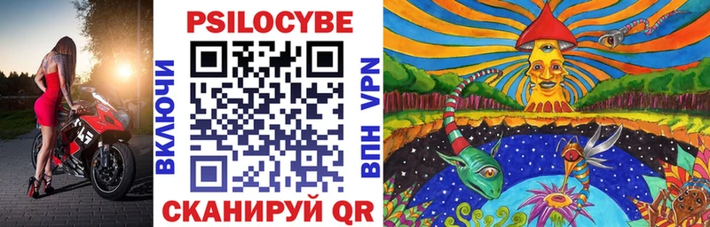 хочу наркоту  Кизилюрт  mega ССЫЛКА  Псилоцибиновые грибы Cubensis 
