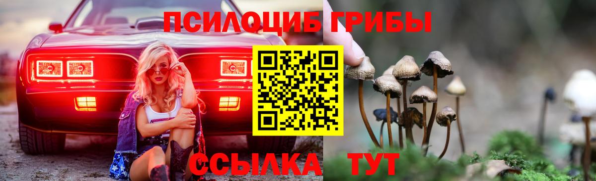 Псилоцибиновые грибы прущие грибы Кизилюрт